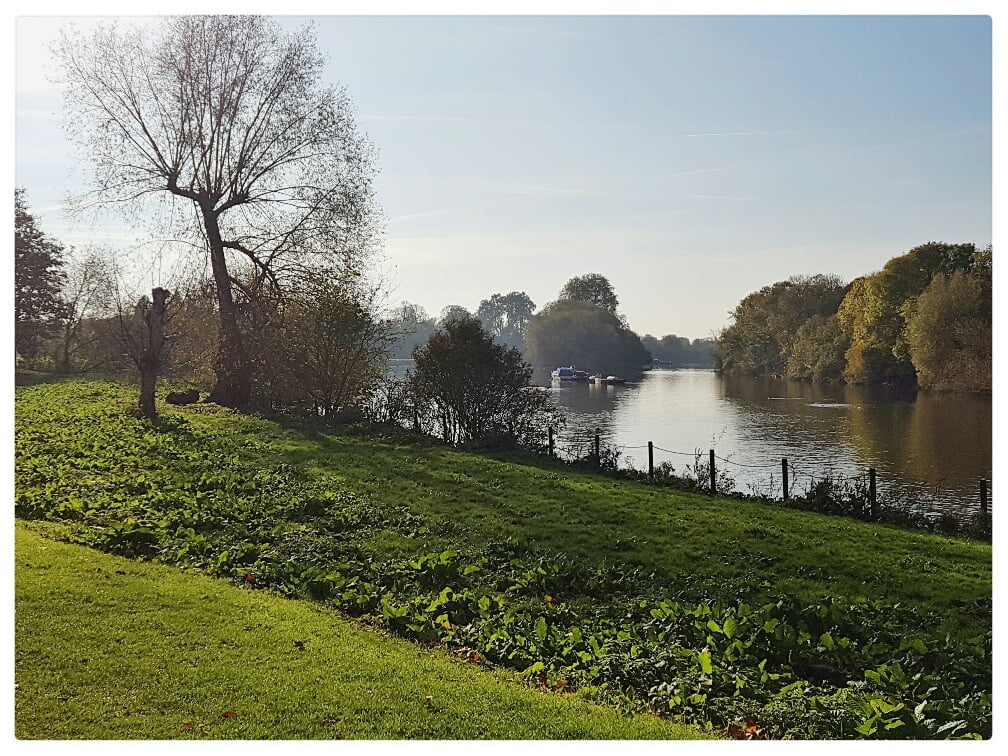 Buccleuch Gardens, Richmond