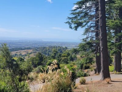 International Green Space Award Winner